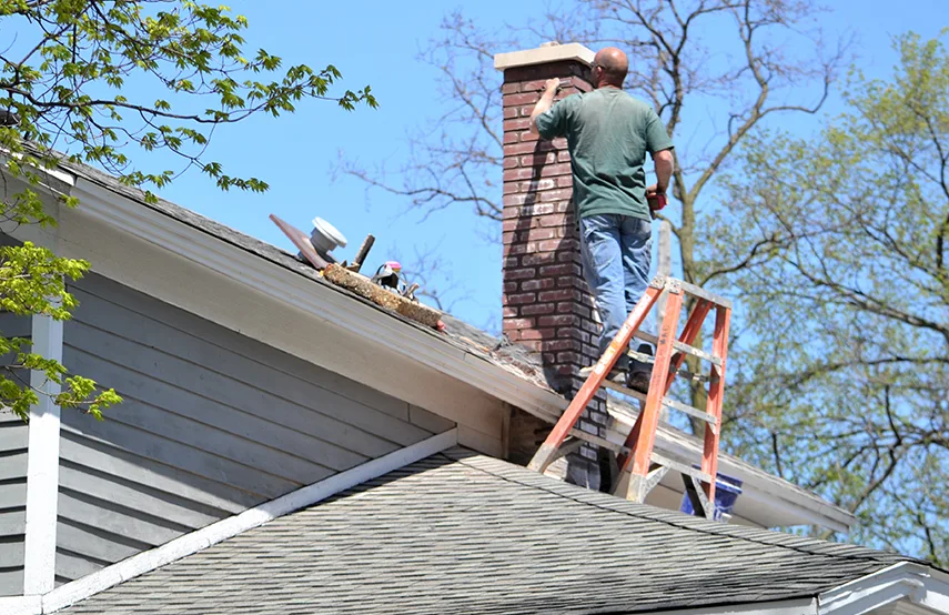 Chimney & Fireplace Inspections Services in Trenton, MI